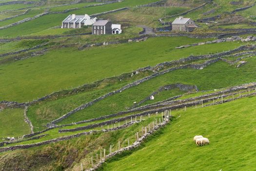 Rural scene at western Ireland