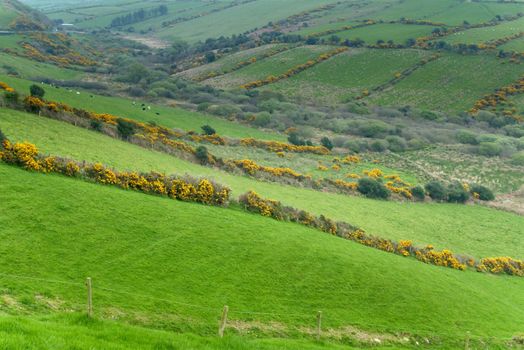 Countryside scene at Western Ireland