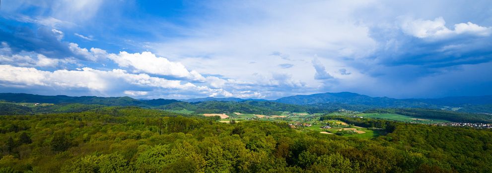 Black forrest at Germany nearly Freiburg