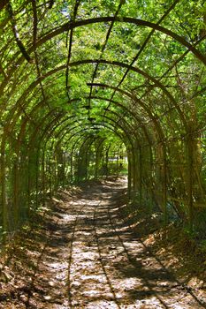 archway in park  in Sunny day in summer