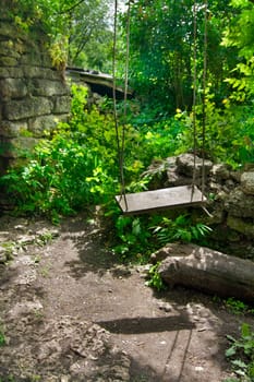 Old Single Swing Tied to an Birch  Tree