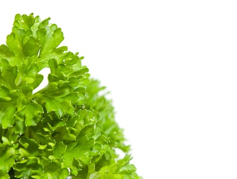 Parsley