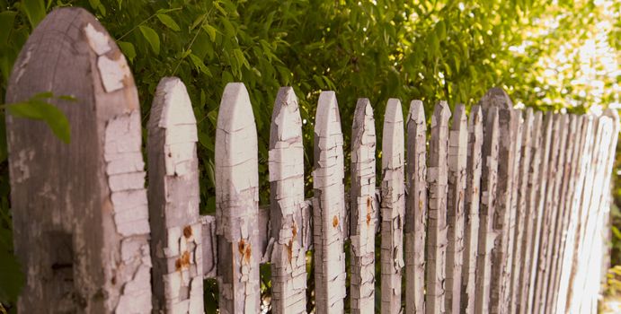 Old residential wood white picket fence diminishing in distance