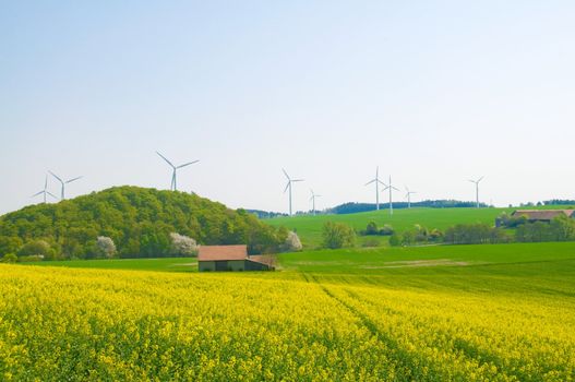 Alternative energy sources - windmills, and canola oil.
