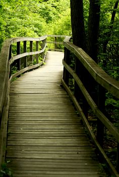 a Wooden bridge through the forest