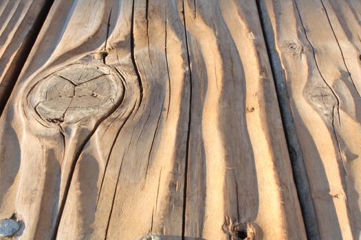 A close up of a weathered wood deck in the late evening light. Wood grain has risen and creates broad, gently undulating shapes.