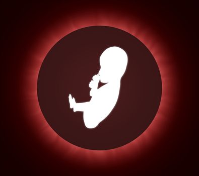 Illustration of a Fetus inside a womb