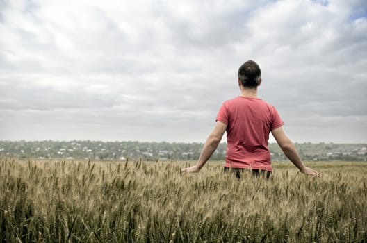 Young man touching spikes of wheat-NOTE-High contrast photography/Grain was added