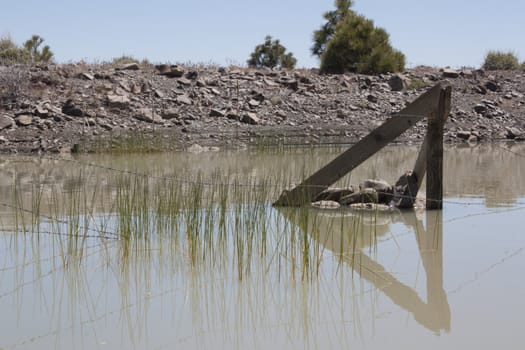 A small pond in the middle of the high desert