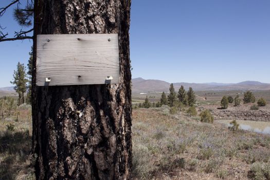 Wood sign with copy space. Great for wanted dead or alive posters, no tresspassing, etc.