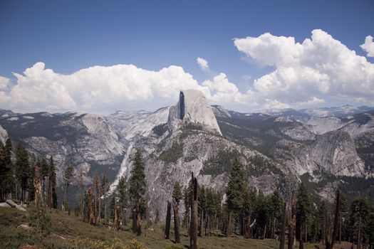 Yosemite National Park in the summer.