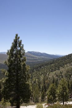 A heavily forest range in the sierra nevadaas.