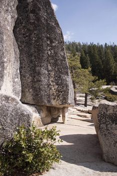 Yosemite in the summer