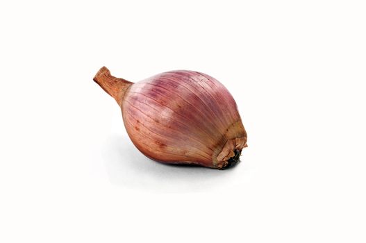 Image of an isolated onion on white background.