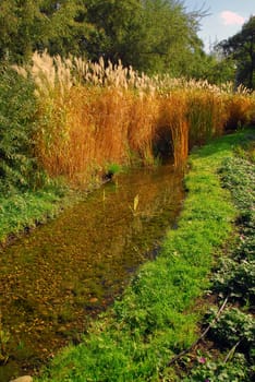 Summer view of the garden in rural style with small pond.