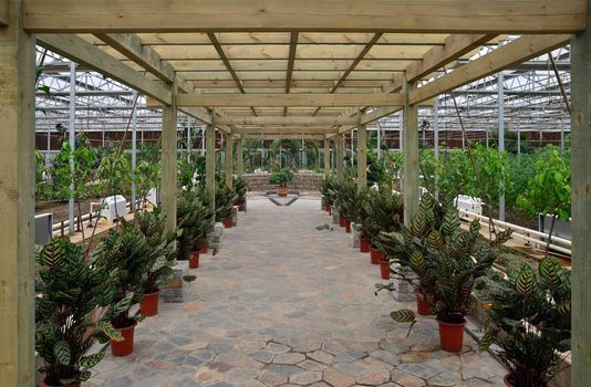 Florist shop in greenhouse. Main entrance view.