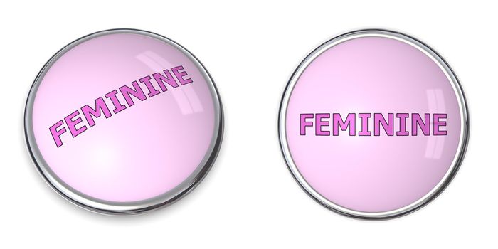 pink button with pink/purple word feminine - chrome bordering