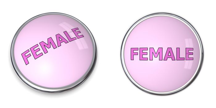 pink button with pink/purple word female - chrome bordering