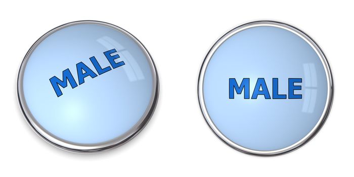 blue button with blue word male - chrome bordering