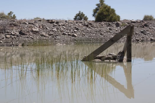 A small pond in the middle of the high desert