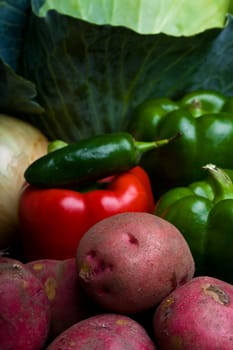 a ton of fresh vegetables from the farmers market