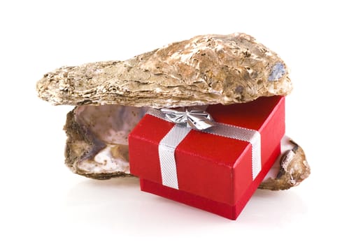 Oyster shells with little red jewelry box in between, isolated on white.
