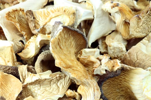 Dried asia mushrooms in Detail. Shot in studio.