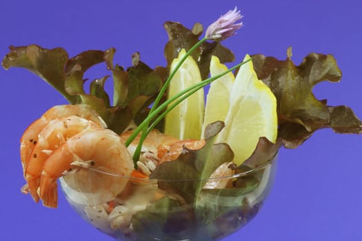 Fresh delicious seafood salad in detail