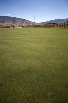 A green golf course with blue skies.