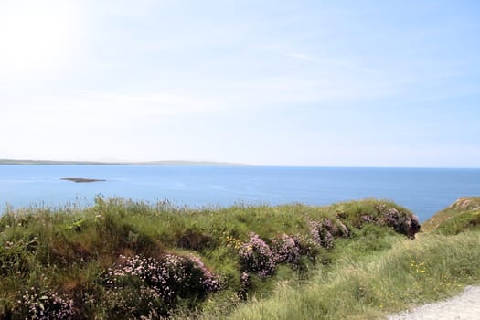a view on a cliff path walk in the west of ireland