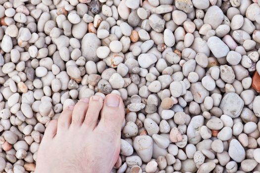 Naked toes on naturally rounded gravel at sea shore.