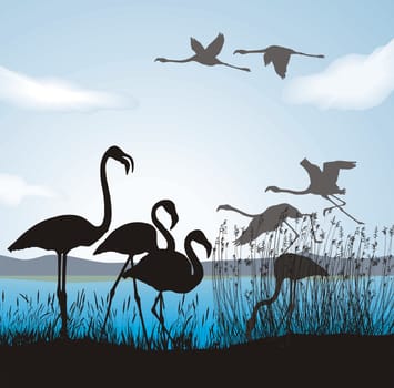 black and blue illustration silhouettes flamingo in nature