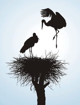 Black vector silhouettes of two storks to nest