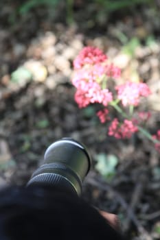 Woman photographer holding a photo camera outdoors.