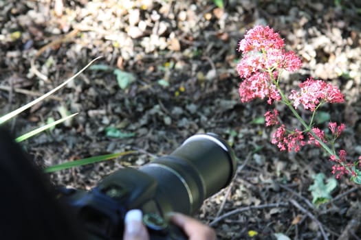 Woman photographer holding a photo camera outdoors.