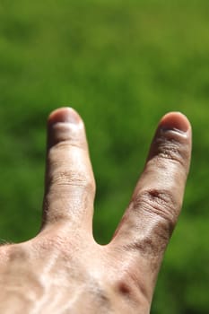 Man's hand showing peace sign.