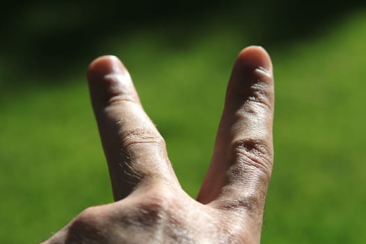 Man's hand showing peace sign.