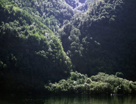 View of a fjord with  forest on hills