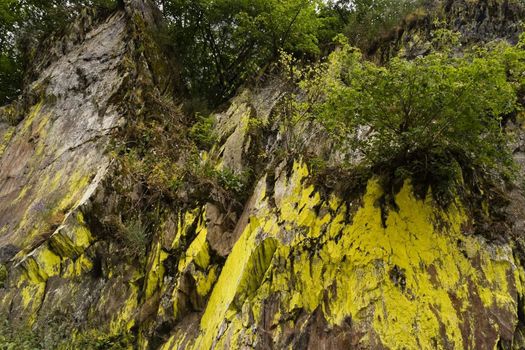 Rockwall overgrown with moss, lychens and bushes-horizontal image