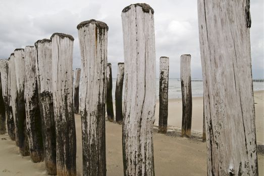 Groynes on dutch beach