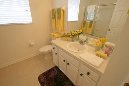 A Bathroom in a House in Central Florida.