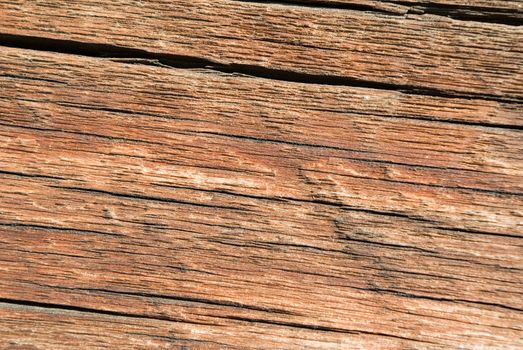 Wood texture background,old log.Close-up