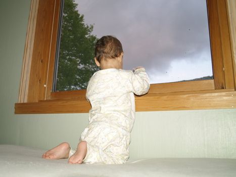 baby looking out window