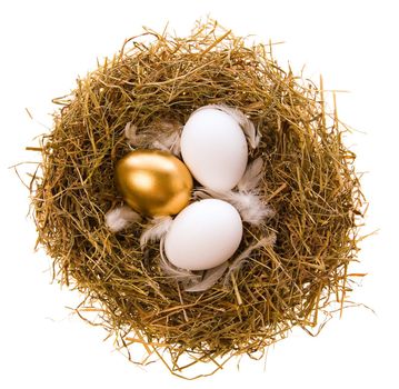 Three eggs, two white and one gold in a nest from the dried up grass on a white background
