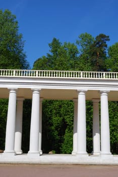 White colonnade in a park, vertical version