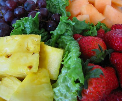 Various kinds of fruit sitting on lettuce.