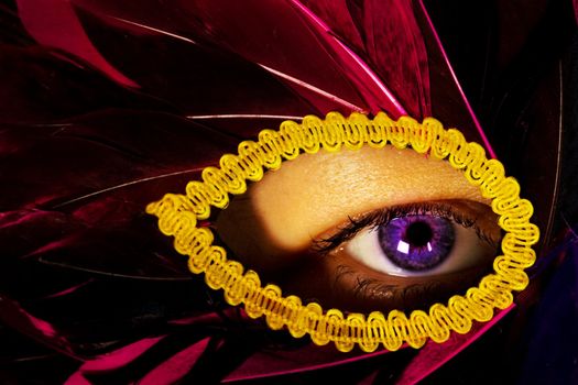 Part of Face: female eye, lady in the mask