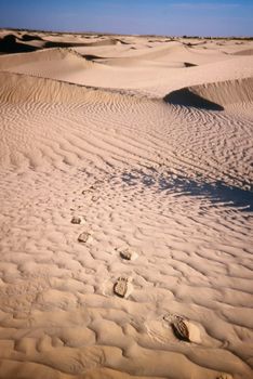 Footprints on desert sand