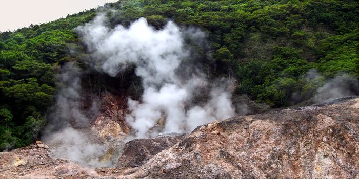 View of the Sulphur Springs Drive-in Volcano near Soufriere Saint Lucia.