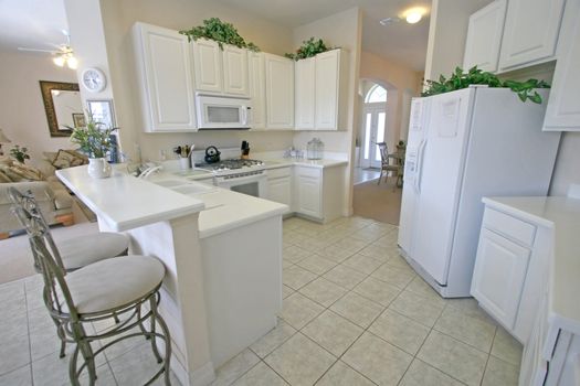 A Kitchen in a House in Florida.